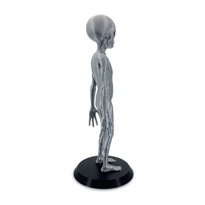 Grey Alien Figurine - Intricate 3D Printed Sci-Fi Extraterrestrial Figure, 250mm, Unique Handcrafted Collectible, UFO and Alien Decor, Gift