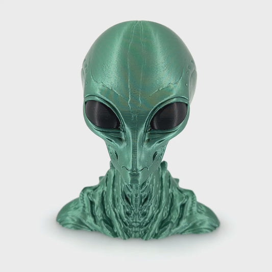 Insectoid Alien Head Bust - 3D Printed Sci-Fi Extraterrestrial Head, UFO Decor, Unique Collectible for Enthusiasts
